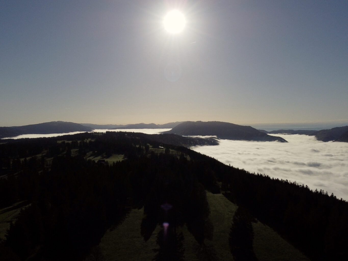 DCIM100MEDIADJI_0603.JPG DCIM100MEDIADJI_0603.JPG