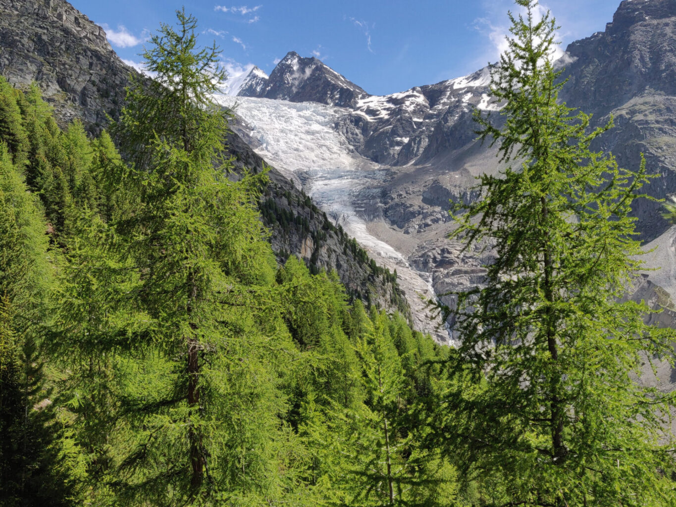 IMG_20210705_160051 IMG_20210705_160051